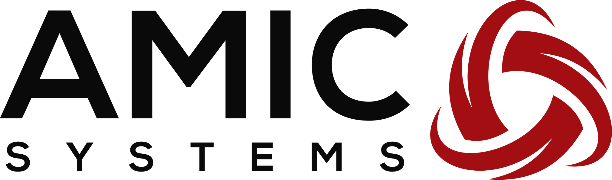 AMIC Systems